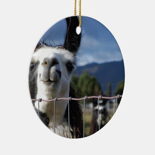 Funny Smiling Llama in Southern Oregon Keramisch Ornament (Rechts)