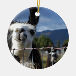 Funny Smiling Llama in Southern Oregon Keramisch Ornament