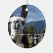Funny Smiling Llama in Southern Oregon Keramisch Ornament (Links)