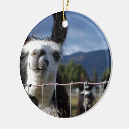 Funny Smiling Llama in Southern Oregon Keramisch Ornament (Links)