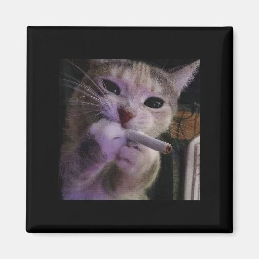 Funny Smoking Cat, Sigaret Kat Gen Z Meme, Cat Magneet (Voorkant)