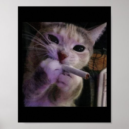 Funny Smoking Cat, Sigaret Kat Gen Z Meme, Cat Poster (Voorkant)