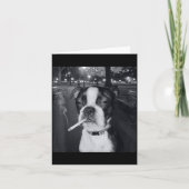 Funny Smoking Dog Meme Cigarette Gen Z Meme Dog Lo Kaart (Voorkant)