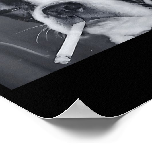 Funny Smoking Dog Meme Cigarette Gen Z Meme Dog Lo Poster (Hoek)