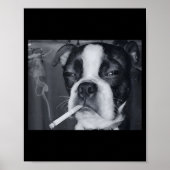 Funny Smoking Dog Meme Cigarette Gen Z Meme Dog Lo Poster (Voorkant)