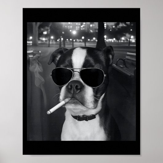 Funny Smoking Dog Meme Cigarette Gen Z Meme Dog Lo Poster (Voorkant)