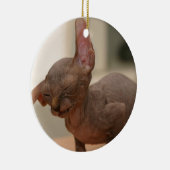Funny sneezing sphynx kitten keramisch ornament (Rechts)