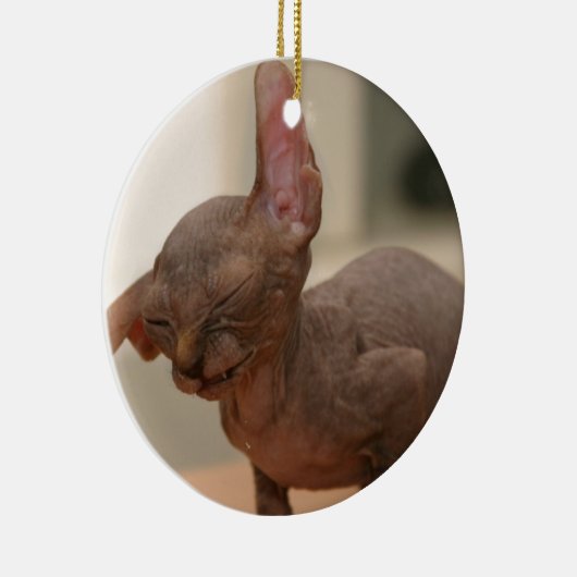 Funny sneezing sphynx kitten keramisch ornament (Rechts)