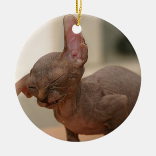 Funny sneezing sphynx kitten keramisch ornament (Voorkant)