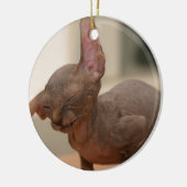 Funny sneezing sphynx kitten keramisch ornament (Links)