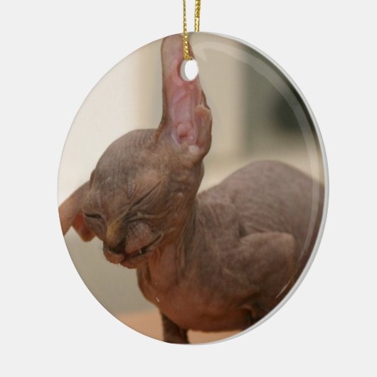 Funny sneezing sphynx kitten keramisch ornament (Links)