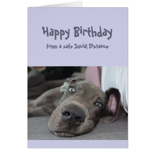 Funny Social Distance Birthday Great Dane Dog (Voorkant)