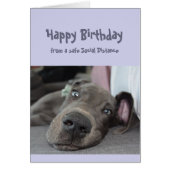 Funny Social Distance Birthday Great Dane Dog (Voorkant)