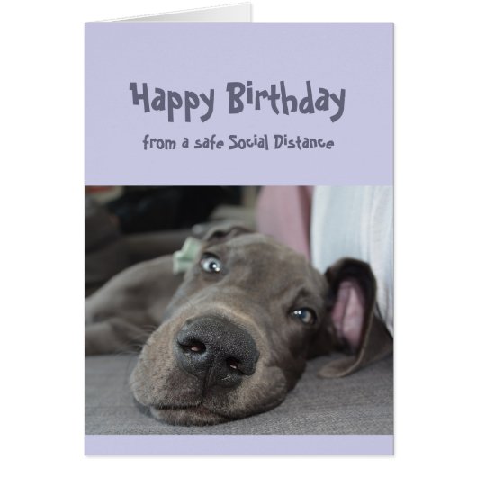 Funny Social Distance Birthday Great Dane Dog (Voorkant)