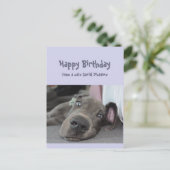 Funny Social Distance Birthday Great Dane Dog Briefkaart (Staand voorkant)