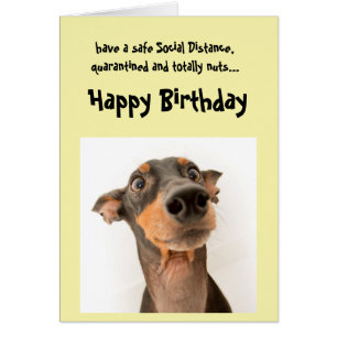 Funny Social Distance Birthday Mini Doberman Dog