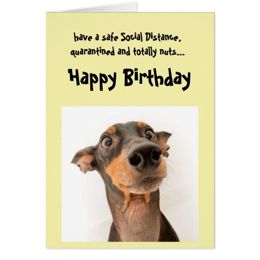 Funny Social Distance Birthday Mini Doberman Dog (Voorkant)
