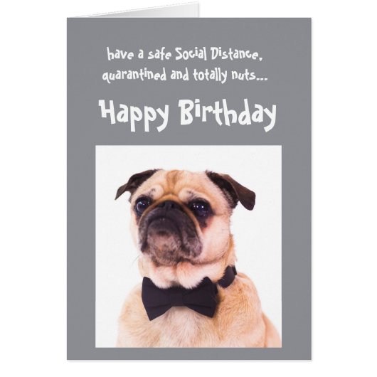 Funny Social Distance Birthday Well Dpress Dog (Voorkant)