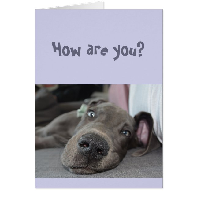 Funny Social Distance Miss You Great Dane Dog (Voorkant)