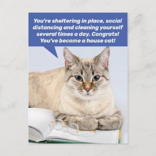 Funny Social Distancing House Cat Briefkaart