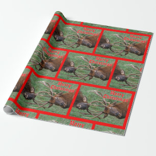 Funny Sparring Bull Elk Merry Kerstmis Cadeaupapier