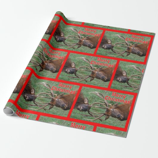 Funny Sparring Bull Elk Merry Kerstmis Cadeaupapier (Uitgerold)