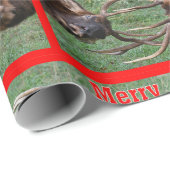 Funny Sparring Bull Elk Merry Kerstmis Cadeaupapier (Rol Hoek)
