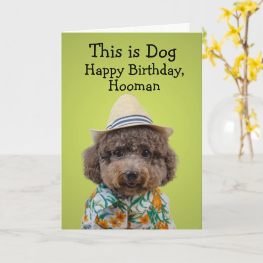 Funny speelgoed poodle-verjaardagskaart kaart (Gele Bloem)