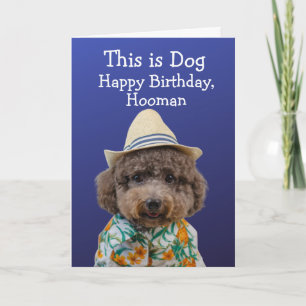 Funny speelgoed poodle-verjaardagskaart kaart