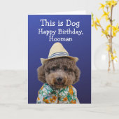 Funny speelgoed poodle-verjaardagskaart kaart (Gele Bloem)