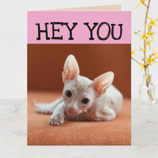 FUNNY SPHYNX CAT BIG BIRTHDAY WENSKAART KAART (Gele Bloem)
