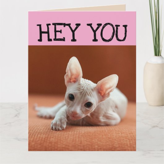 FUNNY SPHYNX CAT BIG BIRTHDAY WENSKAART KAART (Voorkant)
