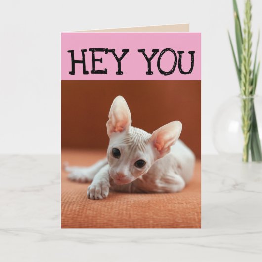 FUNNY SPHYNX CAT BIRTHDAY-WENSKAARTEN KAART (Voorkant)