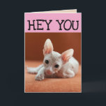 FUNNY SPHYNX CAT BIRTHDAY-WENSKAARTEN KAART<br><div class="desc">FUNNY HAIRLESS CAT BIRTHDAY KAART</div>