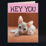 FUNNY SPHYNX CAT BIRTHDAY-WENSKAARTEN KAART<br><div class="desc">FUNNY HAIRLESS CAT BIRTHDAY KAART</div>