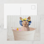 Funny Sphynx Cat in a Bathtub Briefkaart (Voorkant / Achterkant)