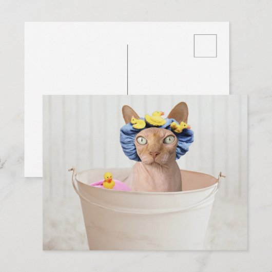 Funny Sphynx Cat in a Bathtub Briefkaart (Voorkant / Achterkant)
