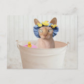 Funny Sphynx Cat in a Bathtub Briefkaart (Voorkant)