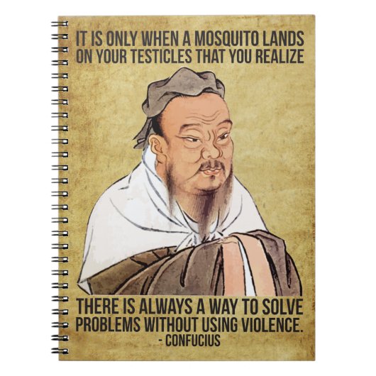 Funny Spiritueel Quote - Mosquito op testikels Notitieboek (Voorkant)