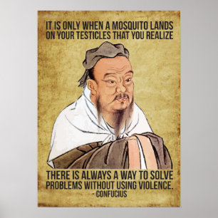 Funny Spiritueel Quote - Mosquito op testikels Poster