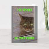 Funny Spooky Cat Halloween Kaart (Voorkant)