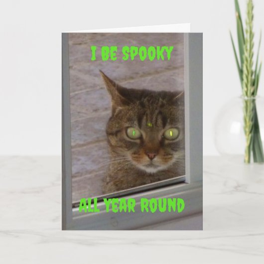 Funny Spooky Cat Halloween Kaart (Voorkant)
