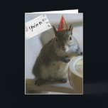 Funny Squirrel 21st Birthday Card Kaart<br><div class="desc">Funny Squirrel 21st Birthday Card; binnenkant van de kaart: Naar de bar,  en ik koop wat biernoten voor je.</div>