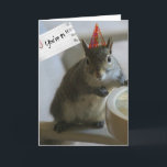 Funny Squirrel 21st Birthday Card Kaart<br><div class="desc">Funny Squirrel 21st Birthday Card; binnenkant van de kaart: Naar de bar,  en ik koop wat biernoten voor je.</div>