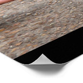 Funny Squirrel "Als het leven je zoete tarten geef Poster (Hoek)