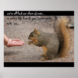 Funny Squirrel "Als het leven je zoete tarten geef Poster