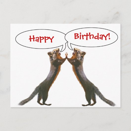 Funny Squirrel Birthday Briefkaart (Voorkant)