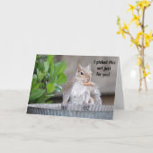 Funny squirrel Birthday voor goede vriend Kaart (Gele Bloem)