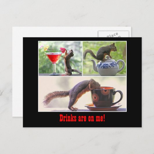 Funny Squirrel Briefkaart (Voorkant / Achterkant)