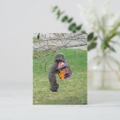 Funny Squirrel Briefkaart (Staand voorkant)